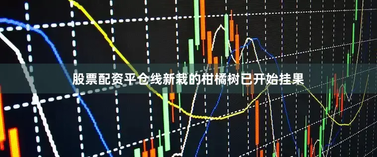 股票配资平仓线新栽的柑橘树已开始挂果